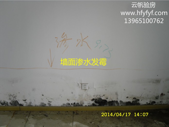 �҃ȉ���Bˮ��5��